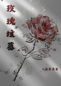 玫瑰花葬小说